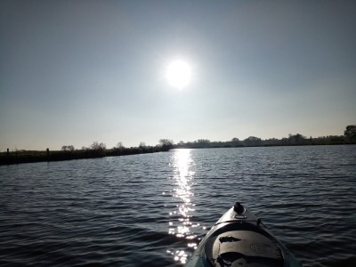 IMG_20201107_135041_549.jpg