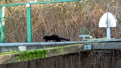 IMG_20201107_142742_256.jpg