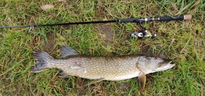 IMG_20201111_144204.jpg (339.02 KiB) 7446 mal betrachtet Beim Jiggen quer gehakt