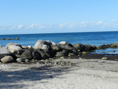 DSCN2392.JPG
