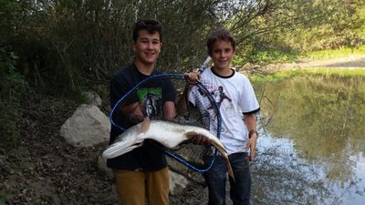 IMG_6005.jpg