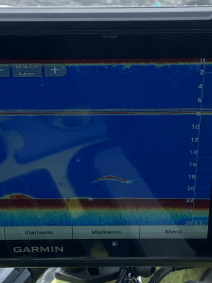 Echolot-Bild, ein großer Fisch in 18-19 Meter Tiefe..jpg