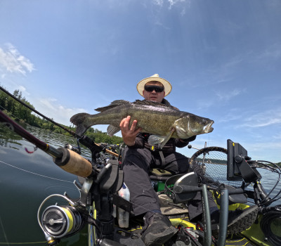 Zander, 29.06.24, 85 cm, PB.JPG