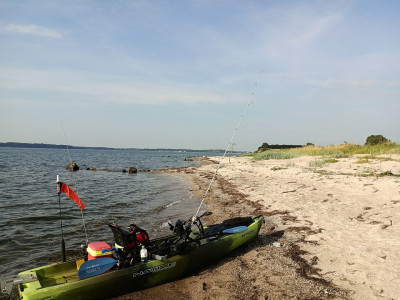 IMG_20240807_092039_510.jpg