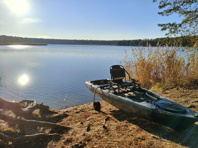 IMG20231126095535.jpg