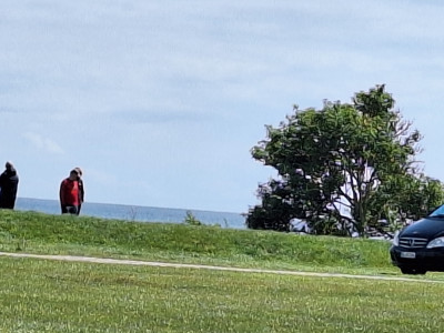 20250524_120133.jpg