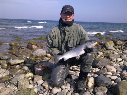 28032012170_1280x960.jpg (355.1 KiB) 11228 mal betrachtet 355 KB rund 2 Sek.