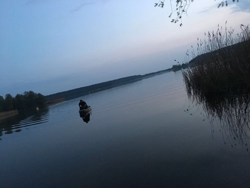 IMG_3730.JPG