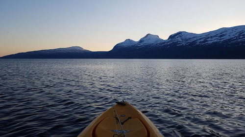 31990497jt.jpg (97.72 KiB) 11638 mal betrachtet Bild gedreht