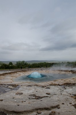 DSC_5053.jpg