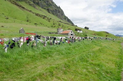 DSC_5139.jpg
